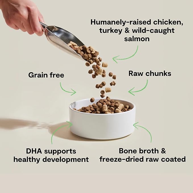 Open Farm, RawMix Dry Cat Food, Protein Packed Kibble Coated in Bone Broth with Freeze Dried Raw Chunks, Formulated For Kittens, Chicken With Turkey & Wild Caught Salmon Recipe For Kittens, 2.25lb Bag