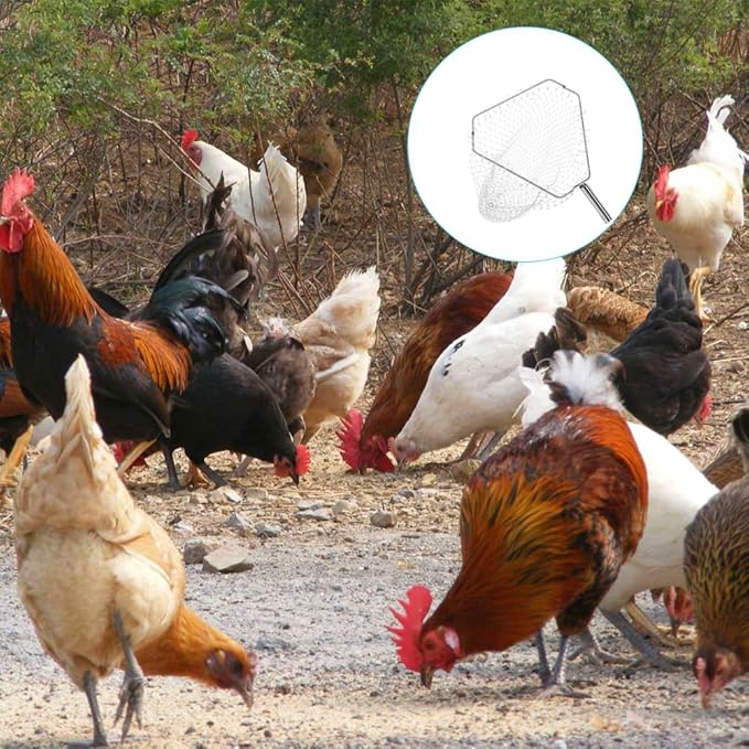 Chicken Catching Net，Adjustable 35-78 Inch Chicken Catcher Leg Hook Tool Kit with A Replaceable Net,Long Handle Animal Catcher Pole Suitable for Catching Small Duck,Goose,Bird, Skunk Bat and Fishnet