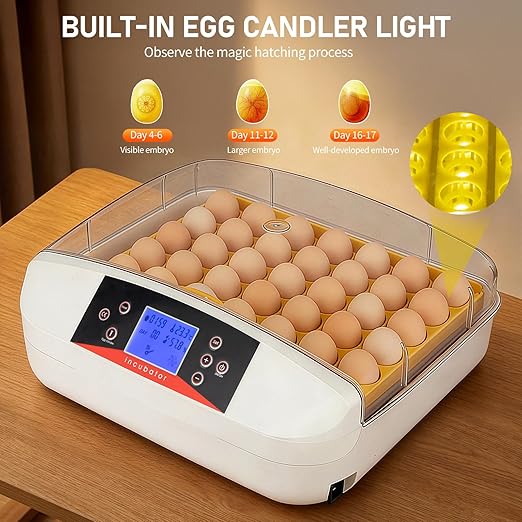 Winado Incubators for Hatching Eggs, 41 Egg Incubator with Automatic Egg Turning & Temperature Control, Egg Candler, and Day Counter for Chicken, Duck, and Quail Eggs Hatching