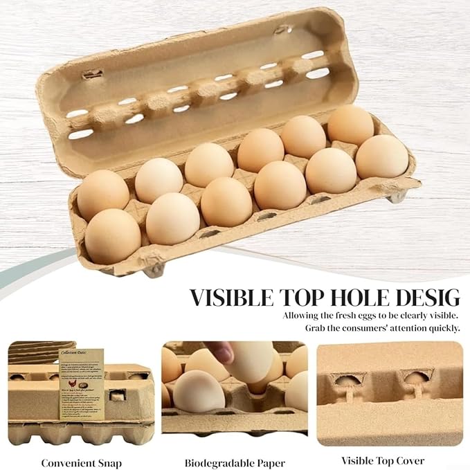 Biodegradable Paper Pulp Egg Cartons for 12 Standard Eggs, Shockproof Protection with Clear Viewing Window and Snap Closure, Kitchen Storage Organizer for Farm Fresh Eggs, Refrigerator or Pantry-Use