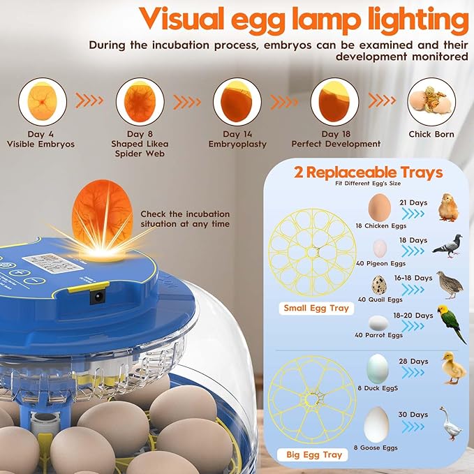 Incubator for Hatching Eggs-18 Egg Incubator with Automatic Egg Turning and Humidity Control 360°View Incubadora De Huevos,Ducks,Goose,Pigeon,Quail Incubator for Home,Farm,Lab,Science Classroom