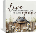 Nursery Crocodile Wooden Box Sign, Cute Live Like Someone Left the Gate Open Wooden Signs for Home Decor,Funny Animal Kitchen Bedroom Decor,Alligator Gifts for Kids Boys, 5x5