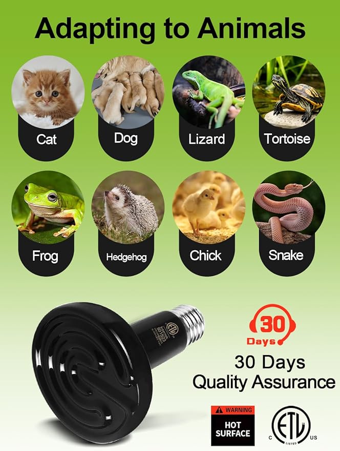 OMAYKEY 2-Pack 150W Ceramic Heat Lamp with 1-pcs Digital-Thermometer, Infrared Heat Emitter Bulbs for Reptiles, Amphibians, Chicken Brooder Coop Lizard Turtle Snake Aquarium, No Light No Harm
