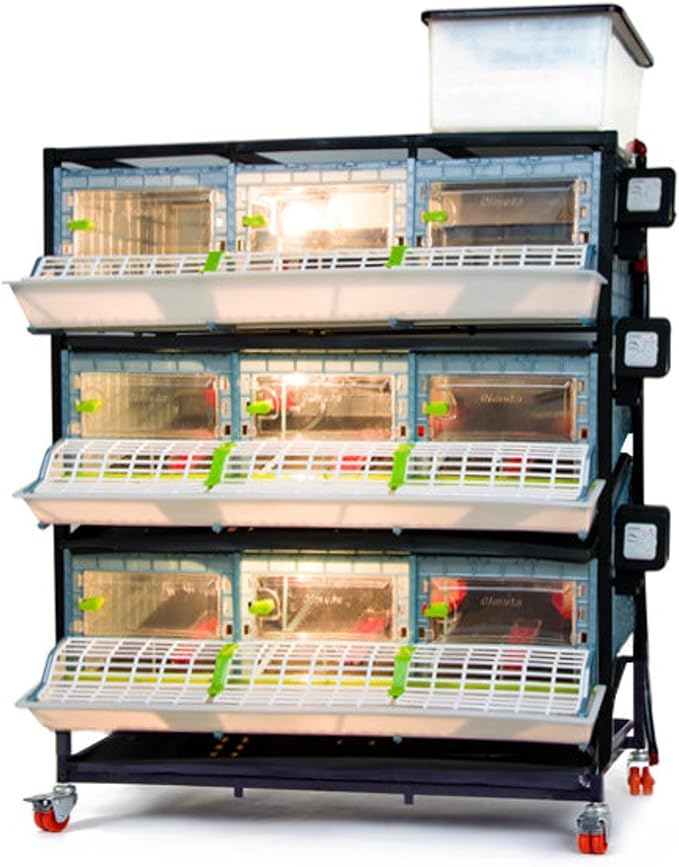 Hatching Time 9.5" Chick Brooders – Stackable or 2-Section Options with Automatic Heating, Modular Design, Easy to Clean, Ideal for Quail, Pheasant, and Baby Chicks (3 Layer)