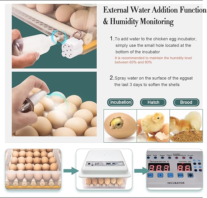 Incubators for Hatching Eggs, Egg Incubator with Automatic Egg Turning and Humidity Control, Egg Incubator for Chicken Quail Duck Pigeon Eggs(36 Eggs)