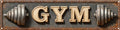 Vintage Tin Gym Sign Retro Metal Sign Suitable For The Gym Stadium Indoor Stadium - Multi-Purpose For Indoor/Outdoor Use Plaque 4x16 Inch