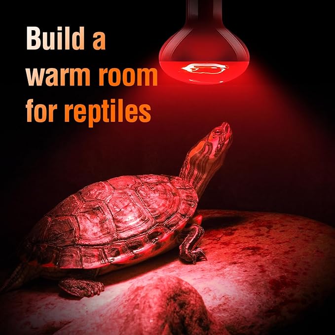 Leoterra 100W High-Power Reptile Red Heat Lamp 2-Pack, Intense Infrared Night Heat Bulb with Thickened Glass, 2000+ Hours for Large Tortoise, Iguana, 40-75 Gal Tank E26 Base 110v