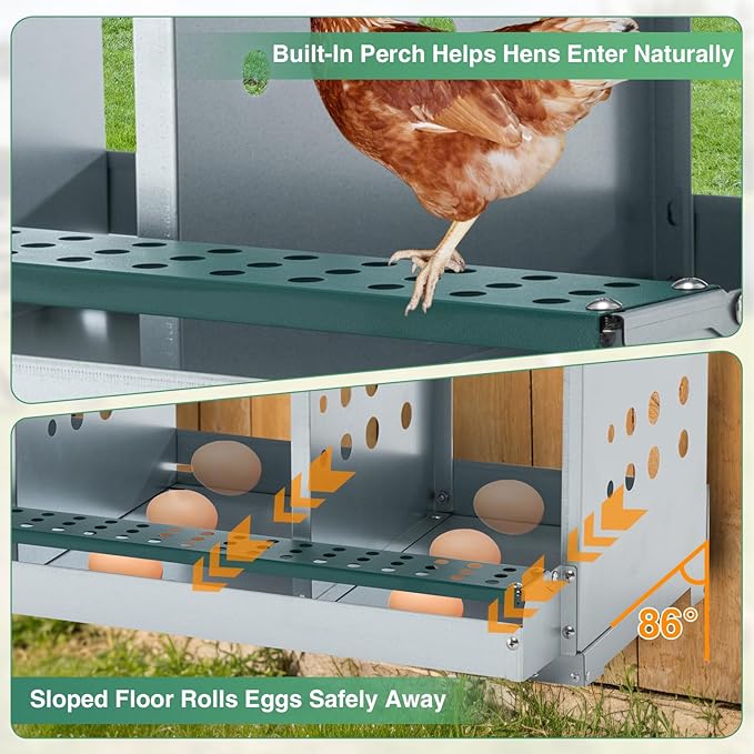 EAGLE PEAK 8-Hole Wall Mounted Chicken Nesting Box, Roll Away Hen Laying Box with Sloped Roof & Easy Clean Tray, Galvanized Steel for Backyard Chicken Coops (Green)