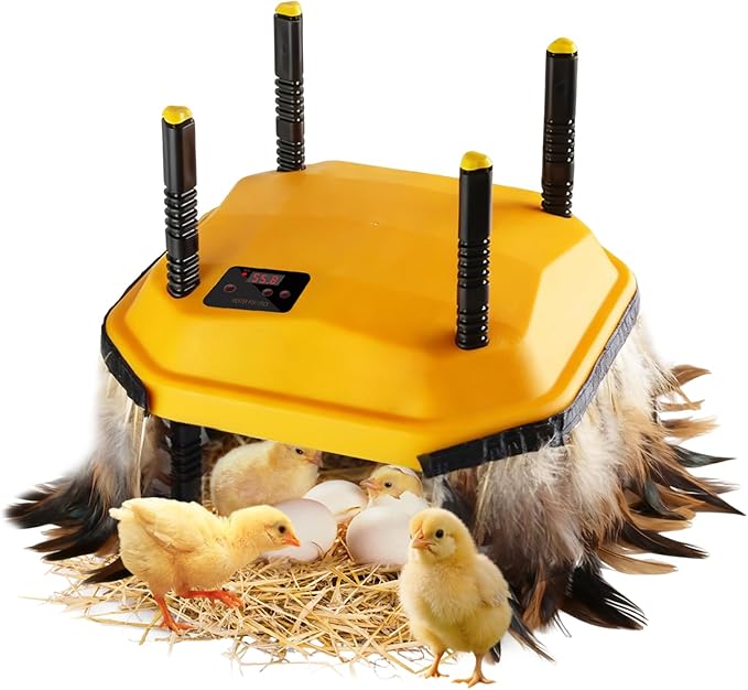 12 * 12inch Chick Brooder Heater Plate with Temperature Adjustable and Display,Adjustable Height & Angle Brooder Box for Baby Chicks Quail Duckling Chicken Heat Warmer Lamp Poultry Habitat Supplies