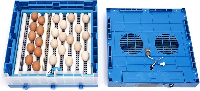 Digital Incubator 48 Chicken Eggs Incubator Poultry Hatcher Machine 2 in 1 Incubator 360° Automatic Egg Turning Blue 80W for Farm Home
