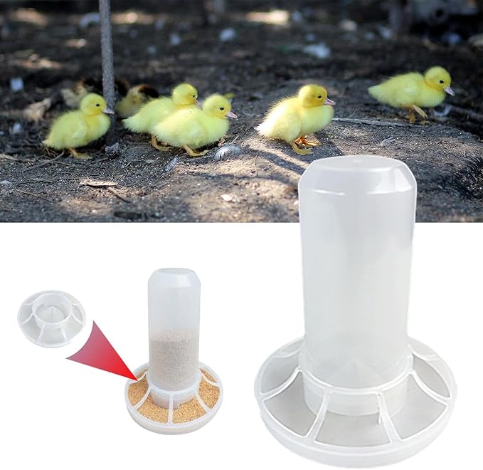 Automatic Chicken Feeder, Feeder Bucket No Waste Easy Clean and Fill Birds Dispenser with Ports for Lawn Pigeon Garden, for 350g Feed