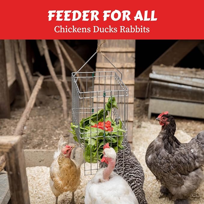My Favorite Chicken Metal Rack Basket for Chicken Scraps – Hanging or Standing Poultry Feeder for Vegetables, Treats & Hay, Wire Hanging Basket for Chicken Coop, & Small Animals