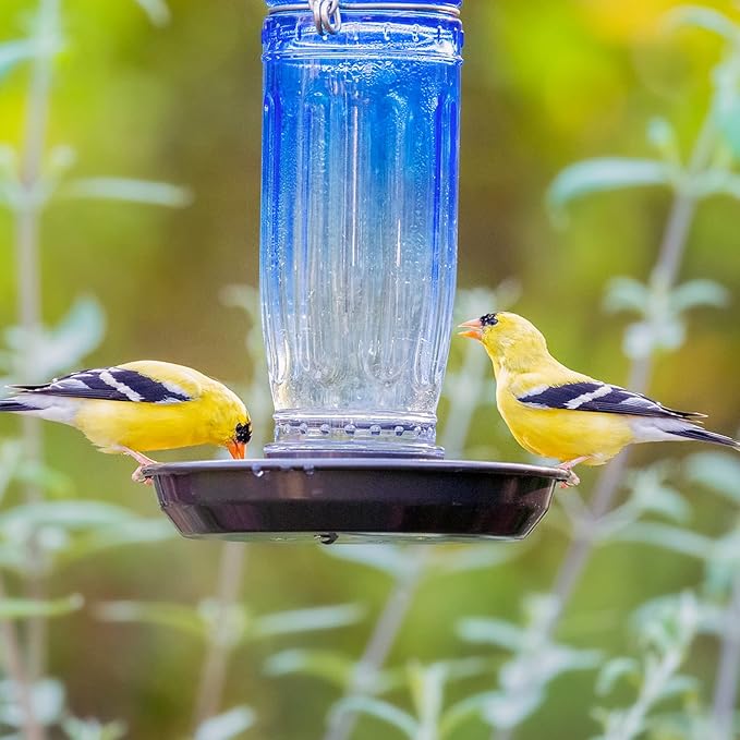 Kingsyard Glass Bird Water Dispenser for Outdoor, 16 Oz, Bird Water Feeder with Metal Hanging for Garden Yard Fence Decoration Hummingbird Cardinal Bluebird Finch, Blue