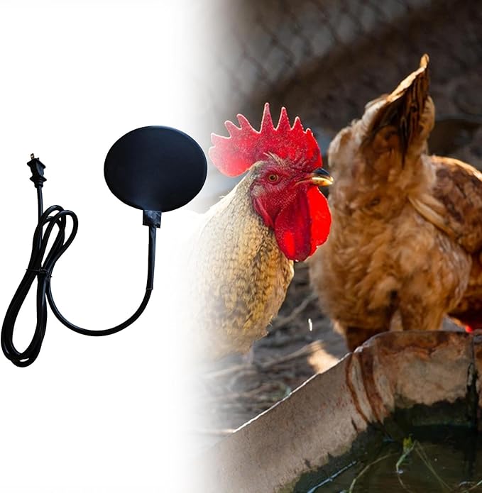 Bird Bath Heater, Chicken Water Heating for Outdoors Heavy Duty US Plug Silicone Rubber for Patio Yard Duck Winter,30W