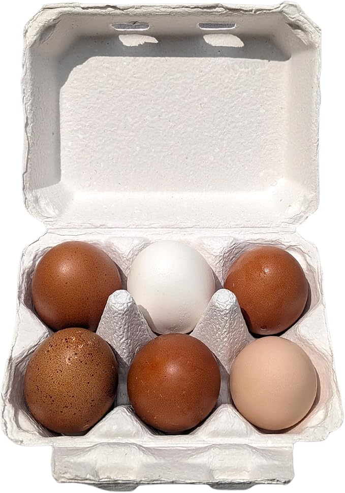 White Half Dozen Blank Egg Cartons – 6-Pack Flat Top Half-Dozen Holder, Recyclable Pulp, Ideal for Farm-Fresh Eggs, DIY Custom Labeling, Eco-Friendly Storage - 20 Pack