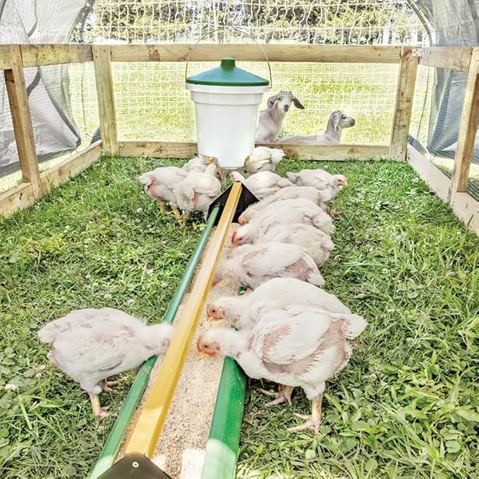 Premier 1 Broiler Trough Feeder for Chickens & Poultry - Green