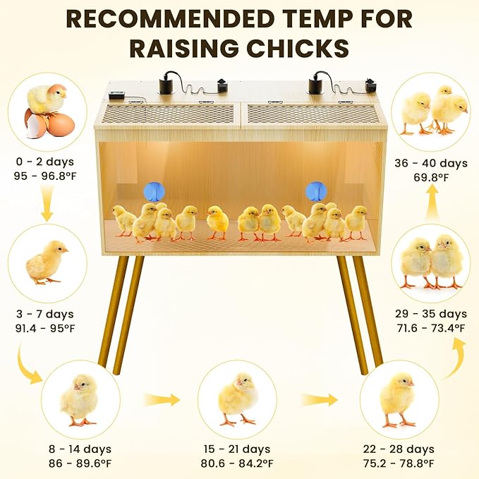 Brooder Box For Chicks, 32 Inch Large Wooden Chicken Brooder Box With Legs, 75W Heat Lamps, Thermometer, Chicken Feeder & Waterer Set, Tin Foil, Ideal For 12-15 Chicks Ducks Quail, Large(Legs)