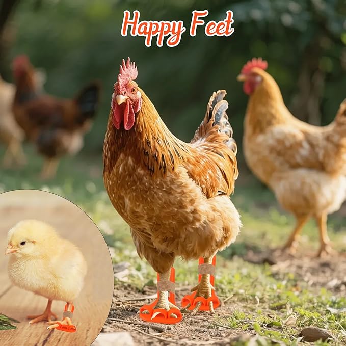 4-Piece Poultry Leg Splint Set with Holes- Professional Bumble Foot Treatment for Chickens & Duck for Fractures,Curled Toes,Osteoarthritis,Complete Bumblefoot Treatment Solution for All Growth Stages