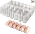 Septo 2 x 6 Plastic Egg Cartons for 12 Eggs,50 Pcs Egg Cartons Cheap Bulk Clear Reusable Tray Refrigerator Chicken Farm Markets