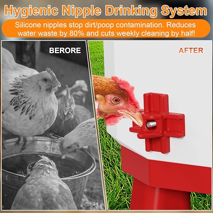 Heated Chicken Waterer 3 Gallon, Chicken Water Heater for Winter, Freeze Proof Chicken Waterer, 4 Nipples for Clean Water，Detachable Legs, Adjustable Height for Chickens, Pigeons, Beaked Poultry