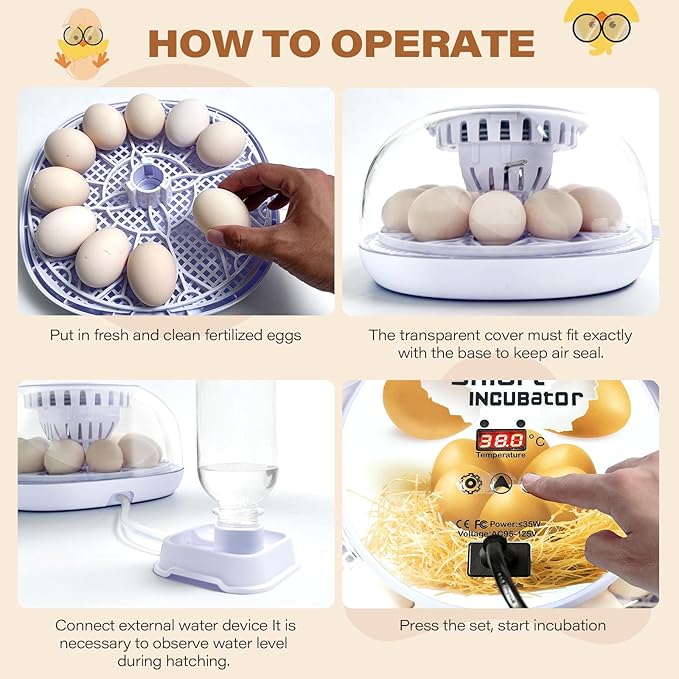 12 Egg Incubators for Hatching Eggs | with Auto Egg Turner, Temp & Humidity Control | 360° Viewing for Chicken, Duck, Quail Eggs | Ideal for Farm, School, Home