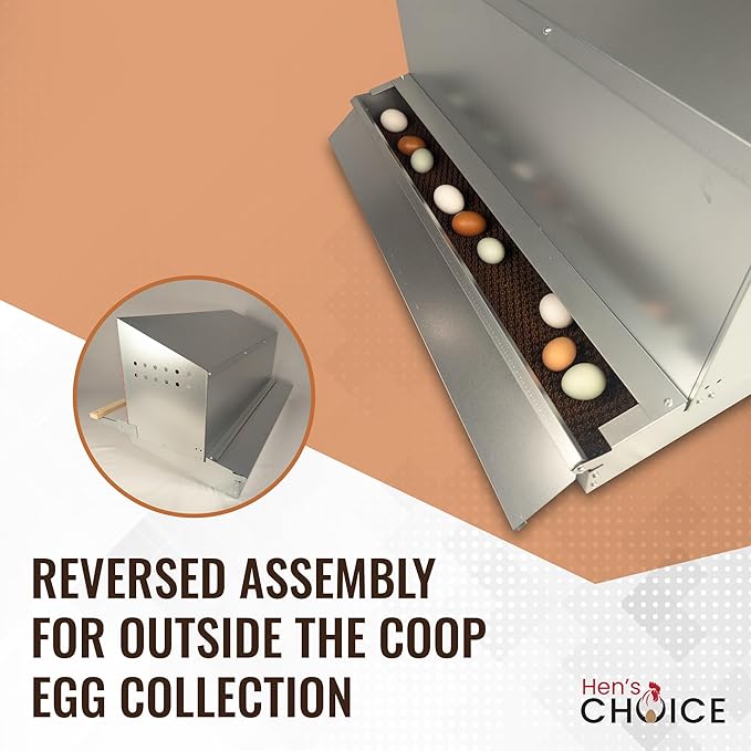 Hen's Choice™ - Roll Out Nest Box for Chickens | Roll Away Nest Box | 3 Compartment 36" | Heavy Duty Galvanized