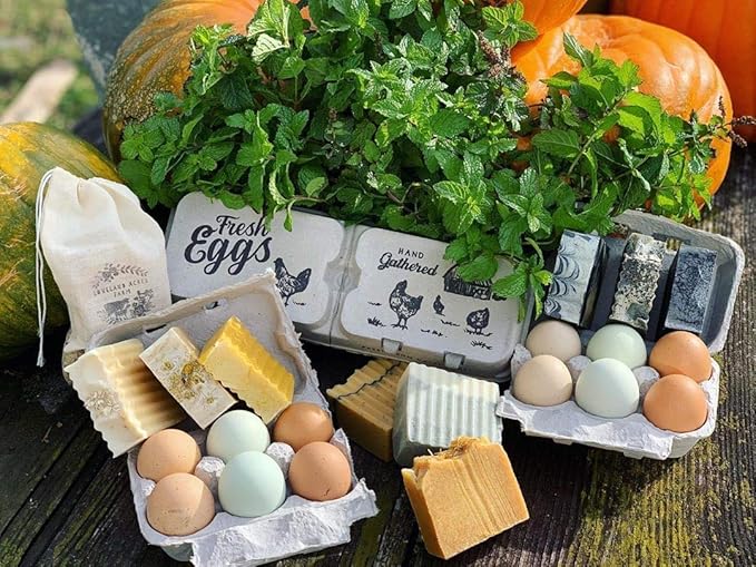 Half Dozen Empty Egg Cartons- 15 Full Dozen Can Split to 30 Half Dozen Size Cartons- Securely Holds 6 or 12 Extra Large Eggs