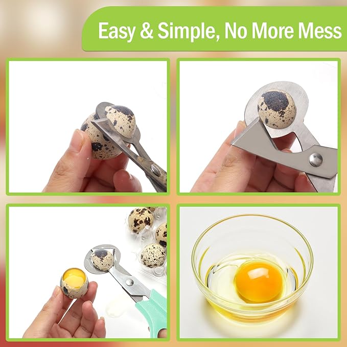 AHIER Pigeon Quail Egg Cutter Scissors Stainless Steel Blades Bird Cutter 2 Pack