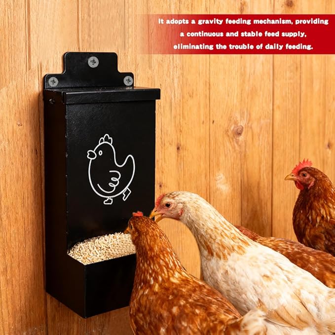 2Pack Chicken Grit Feeder, Metal Oyster Shell Feeder with Lid, Hanging Chicken Poultry Feeders Trough, Automatic Feeder, Coop Accessories Supplies