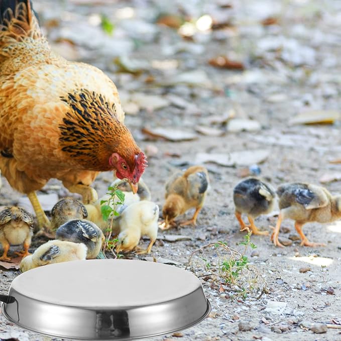 Heated Poultry Water Heater Base Safe Automatic Thawing for Chicken Drinkers Use Compatible Any Water Bowl Bucket Prevents Freezing Cold Temperatures