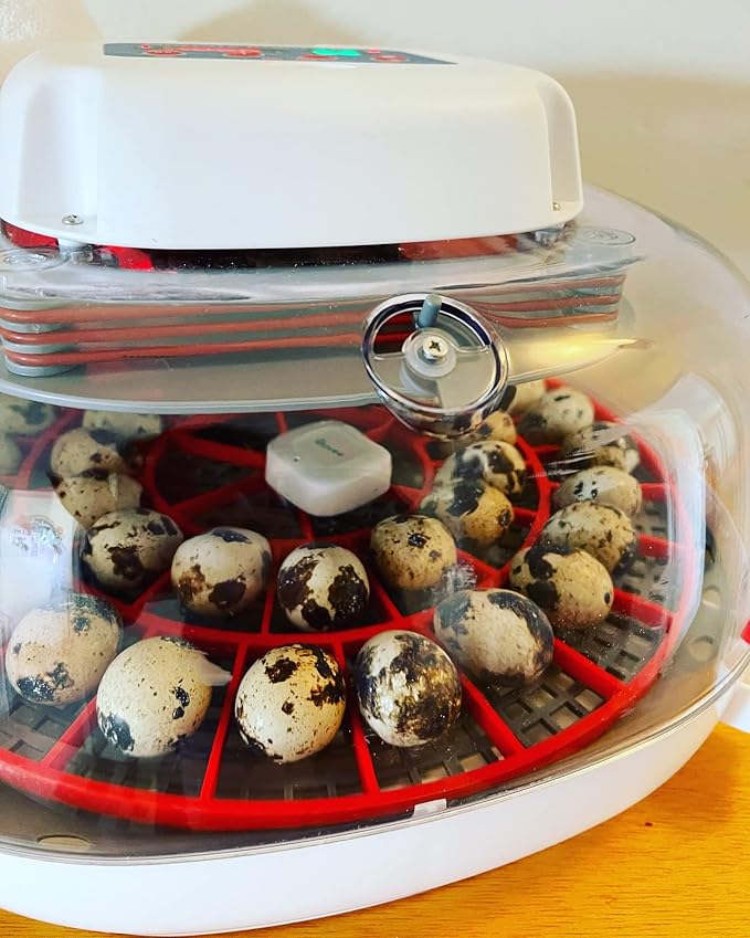 Generic 3D Printed Quail Egg Turner for Nurture Right 360 Incubator
