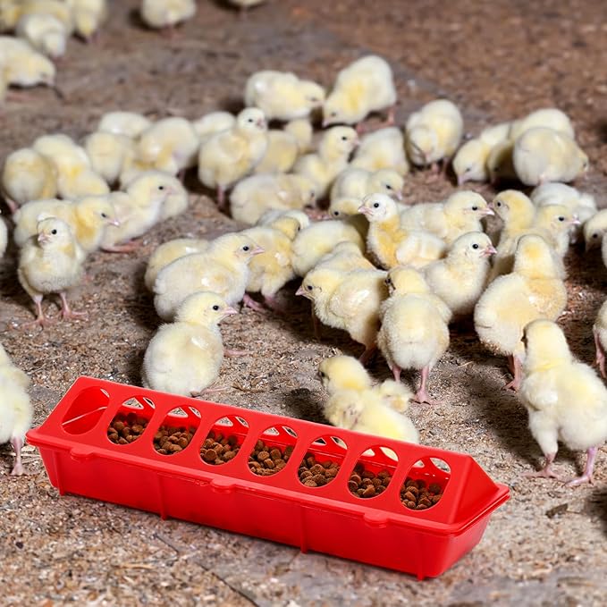 Coloch 6 Pack Flip Top Poultry Feeder, Plastic Chicken Feeder Trough Multi-Hole Poultry Feeding Tray No Mess No Waste Chick Feeding Dispenser for Pigeon, Quails, Duckling Birds, Duck, Chicken