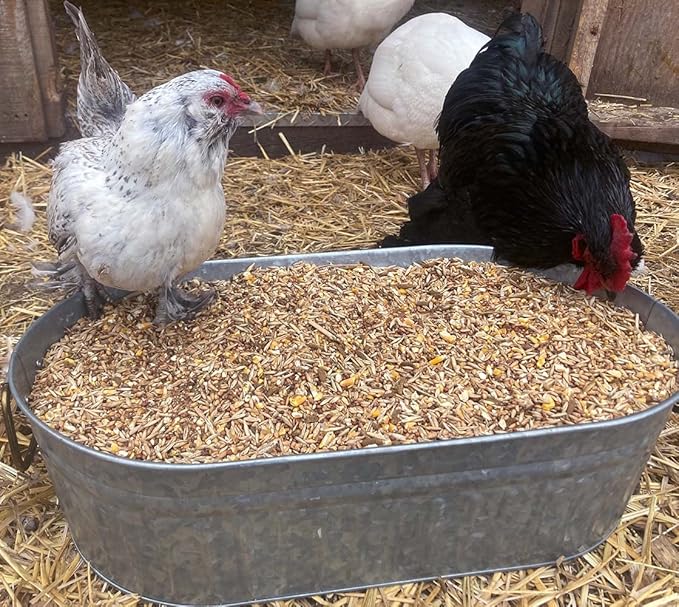 Pampered Chicken Mama Backyard Chicken Feed with Black Soldier Fly Larvae Grubs Soy Free & Herbs (20 Pounds) Layer Pellets: High Protein All-Natural Grower Feed Supplies for Laying Chickens