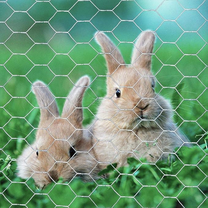 20GA Galvanized Hexagonal Poultry Netting Chicken Wire 36 inches x 25 feet x 1 inch Mesh