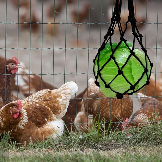 2PCS Chicken Feeding Toys Set, Chicken Hanging Feeder Toy Hanging Fruit Fork & Mesh Bag, Keeps Food Clean and Dry (A,Mesh+Fork)