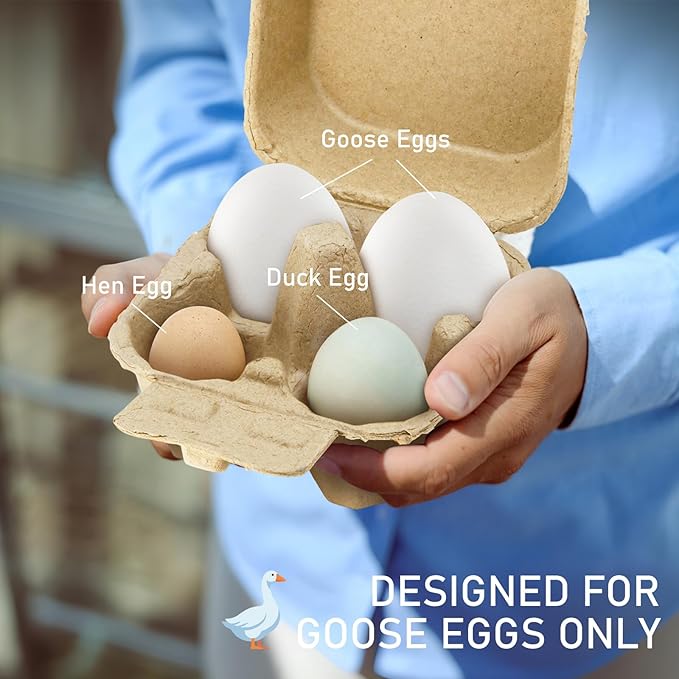 Goose Egg Cartons 4 Grids 30 Pack- Holds Up to 4 Counts Eggs Bulk Blank Container Empty Cardboard Thickness Natural Pulp Egg Boxes