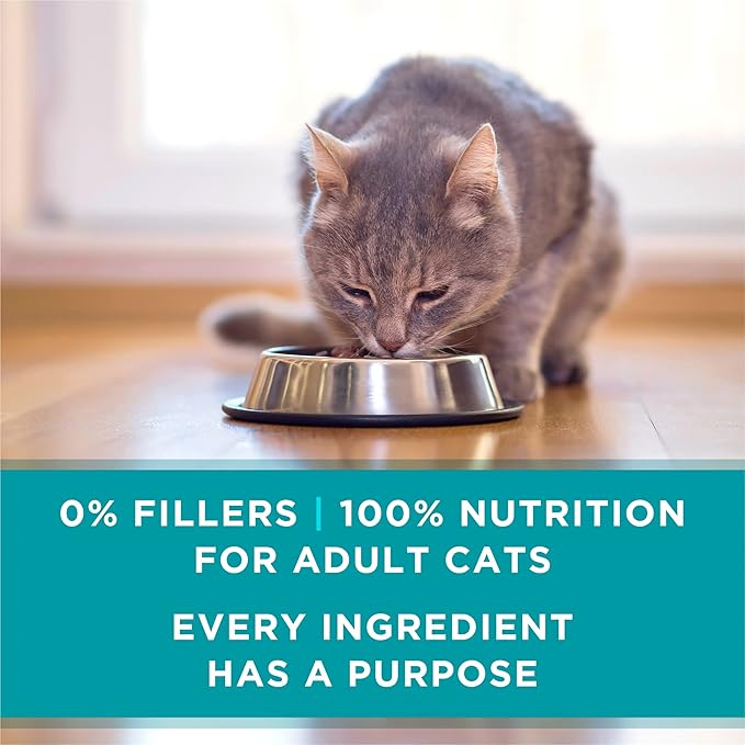 Purina ONE Urinary Tract Health, Natural Pate Wet Cat Food, Urinary Tract Health Beef & Liver Recipe - (Pack of 24) 3 oz. Pull-Top Cans