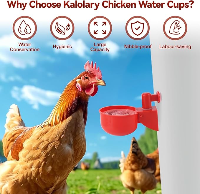 Kalolary Automatic Chicken Waterer Cups, 12 Packs Tee Fittings Poultry Drinking Cups for Chick, Bunny, Goose,Duck,Turkey,Professional Poultry Water Container Come with Hole Open Drill Bit (Red)