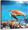 Woxfcart Sea Turtle Canvas Wall Art Tropical Turtle Picture Gift Sea Life Teal Ocean Animal Prints for Bathroom Bedroom Living Room Decor, 24 x 24 Inch, Ready to Hang