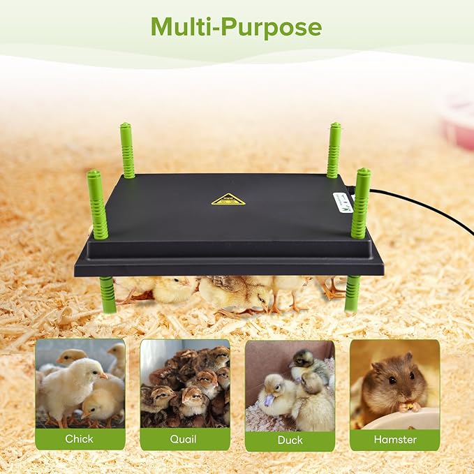 Chick Heating Plate - 12 x 16 Inch Chicken Heater Plate for Chicks with Adjustable Height & Angle - 30W Safer Than Brooder Lamp Warms Up to 40 Chicks