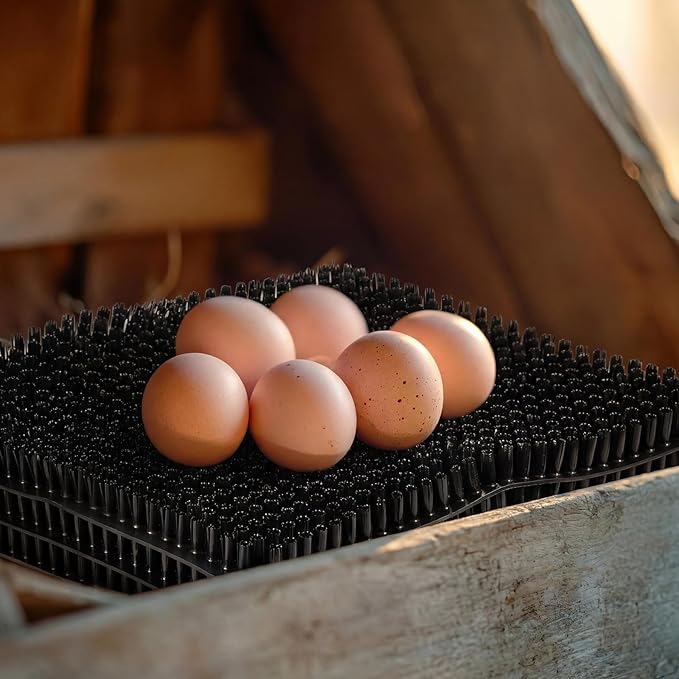 10 Pcs Chicken Nesting Pads Washable 13.8 * 11.6 Nesting Box Pads for Chickens Coop Artificial Grass Rug Accessories Plastic Grass Mat for Chicken Coop Accessories (Black)