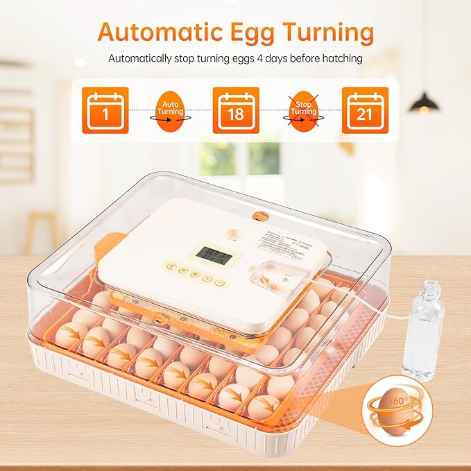 56 Egg Incubator for Hatching Eggs–Smart Auto Turner & Humidity Control, 360° View, Built-in Candler |Hatching Kit with Chick Helmet for Chicken, Duck, Quail | Ideal for Home & Classroom