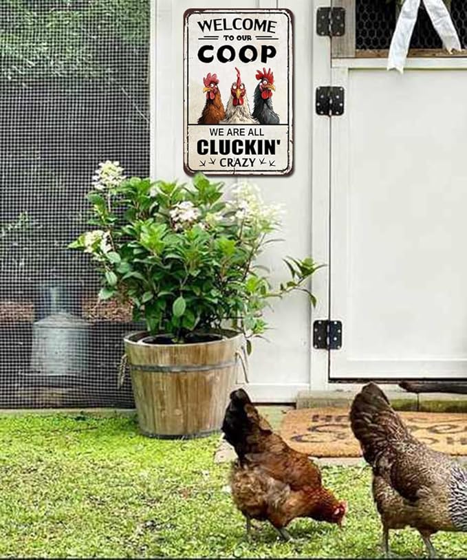 Chicken Coop Accessories Funny Chicken Signs Rooster Decorations Chicken Stuff For Farmhouse Farm Kicthen Decor Welcome To Our Coop 12x8 Inches