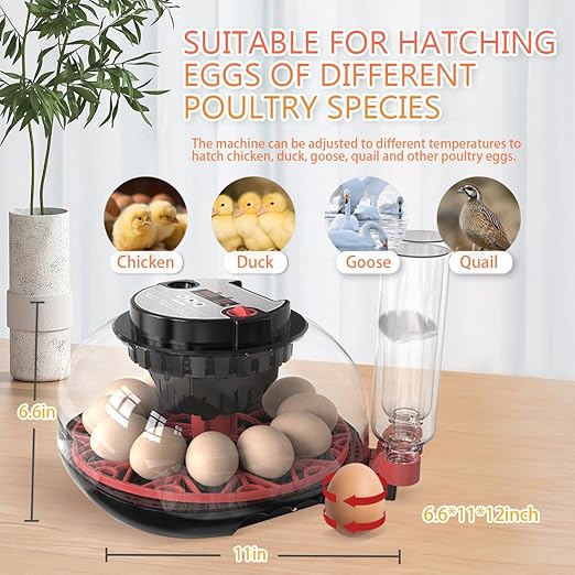 Incubators for Hatching Eggs Incubator with Automatic Egg Turning and Humidity Control, 360° Clear View, Poultry Incubator for Hatching Chicken, Duck, Quail, Pigeon, Goose Eggs (Black)
