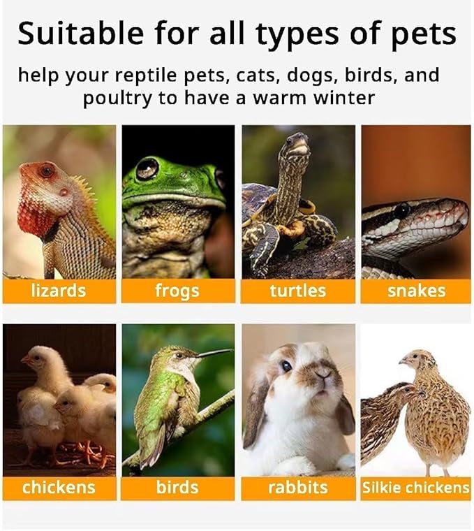MANON ROSA Bird Cage Heater for Parakeets Chickens Parrots - Thermostatic Socket, Non-Light Emitting Lamp with 2 Ceramic Bulbs (E27 110V) - Small Pet Winter Warming Equipment(50W&100W)