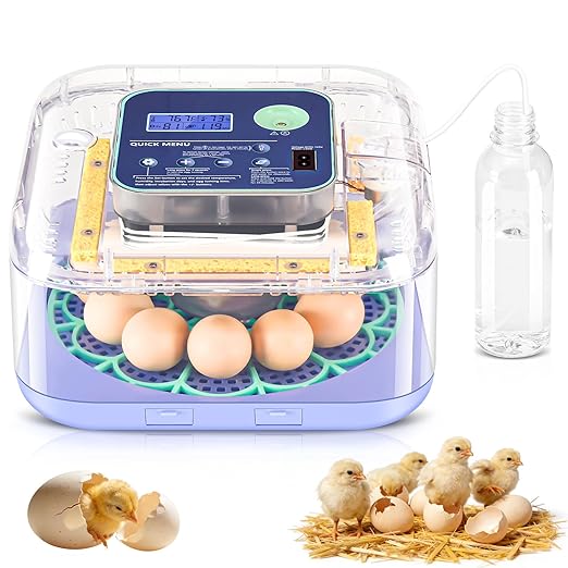 Incubators for Hatching Eggs, Smart Egg Incubator with Humidity & Temp Control and Auto Turner, 360° View Incubadora De Huevos De Gallina for Chicken, Duck, Quail Eggs, Ideal for Farm, School and Lab