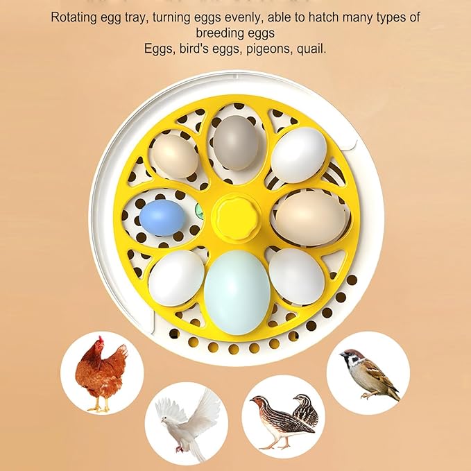 4 Eggs Incubator, Automatic Temperature and Humidity Control Eggs Hatching Incubator, Visual Low Noise Energy Saving USB Mini Poultry Hatcher for Eggs, Pigeon Eggs, Quail Eggs