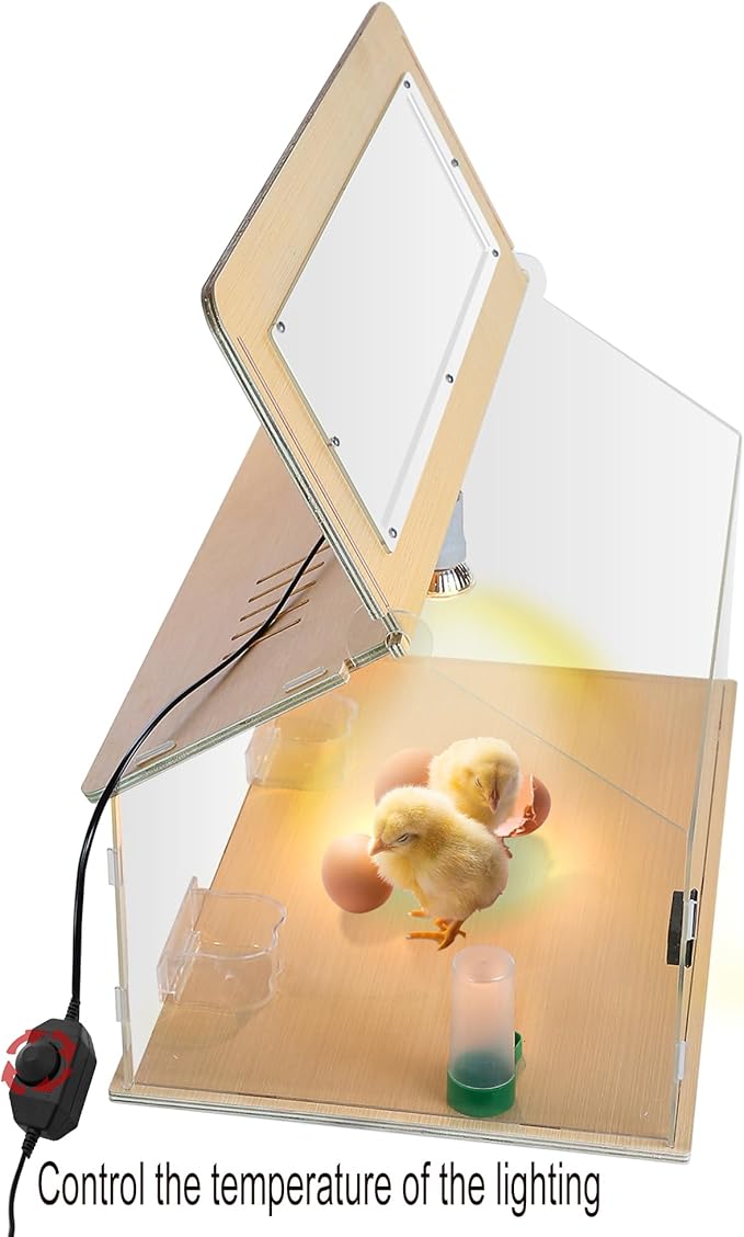 25~40 Newborns Chick Brooder Box Quail Cage Bird Playground Egg Incubator Chick Starter Kit Tortoise Habitat