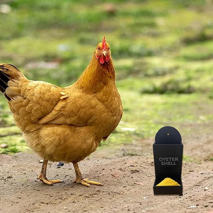 Gravel Feeder - Oyster Shell and Grit Feeder, Versatile Oyster Shell Feeders for Chickens,Hanging Chicken Feeders Trough,Precision Nutrition, Chickens Coop Accessories for Poultry (Black)