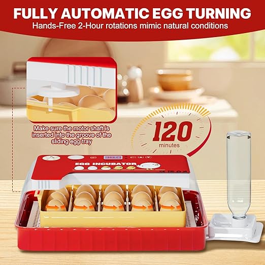 Incubators for Hatching Eggs 15-35 Eggs Incubator with Automatic Egg Turning and ℉Temperature Display LED Candler Poultry Incubator for Hatching Chicken Duck and Quail Incubator（Red）